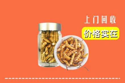 普洱市孟连回收散虫草