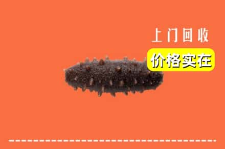 普洱市孟连回收海参